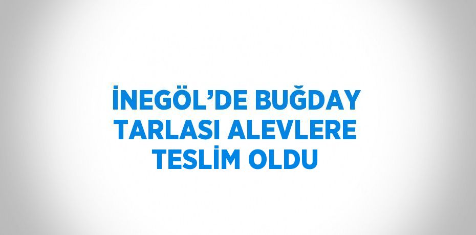 İNEGÖL’DE BUĞDAY TARLASI ALEVLERE TESLİM OLDU