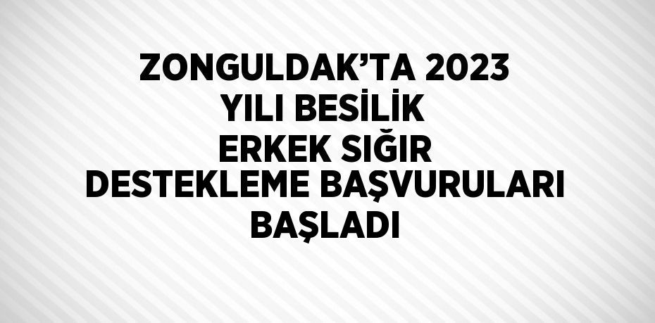 ZONGULDAK’TA 2023 YILI BESİLİK ERKEK SIĞIR DESTEKLEME BAŞVURULARI BAŞLADI