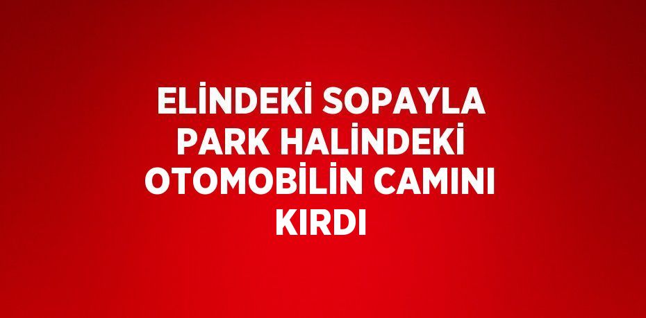 ELİNDEKİ SOPAYLA PARK HALİNDEKİ OTOMOBİLİN CAMINI KIRDI