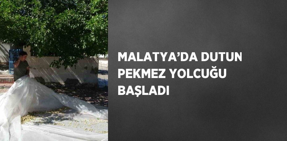 MALATYA’DA DUTUN PEKMEZ YOLCUĞU BAŞLADI