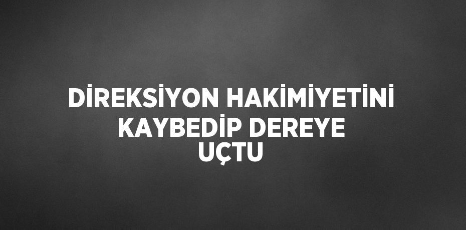 DİREKSİYON HAKİMİYETİNİ KAYBEDİP DEREYE UÇTU