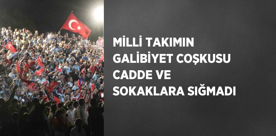 MİLLİ TAKIMIN GALİBİYET COŞKUSU CADDE VE SOKAKLARA SIĞMADI