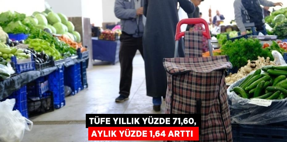 TÜFE YILLIK YÜZDE 71,60, AYLIK YÜZDE 1,64 ARTTI