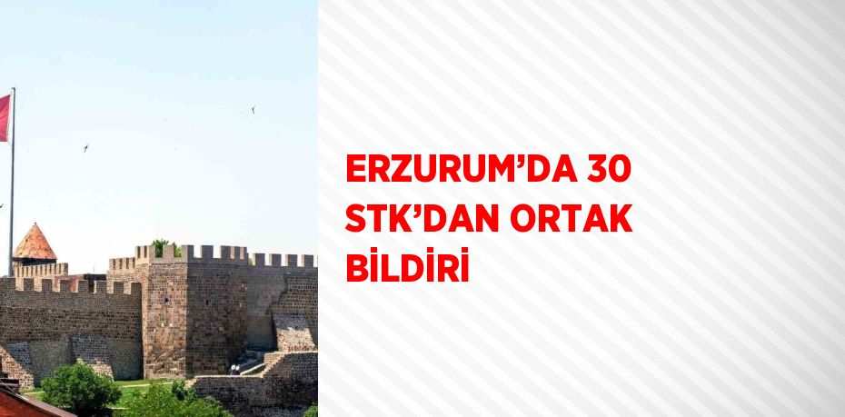 ERZURUM’DA 30 STK’DAN ORTAK BİLDİRİ