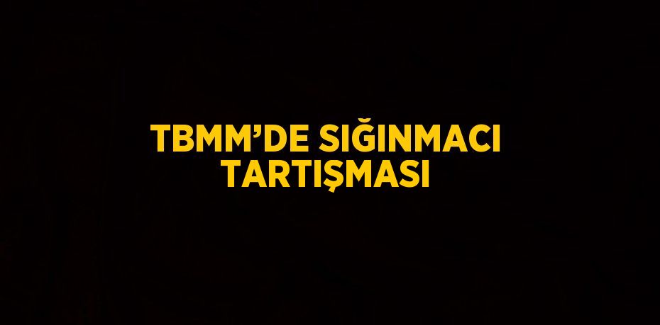 TBMM’DE SIĞINMACI TARTIŞMASI