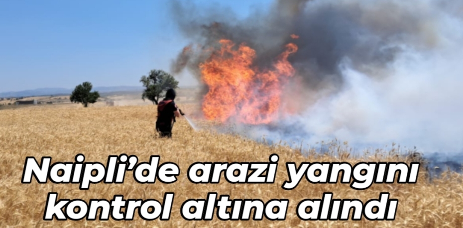 Karesi Naipli’de Arazi Yangını Kontrol Altına Alındı