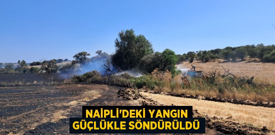 Naipli’deki yangın güçlükle söndürüldü