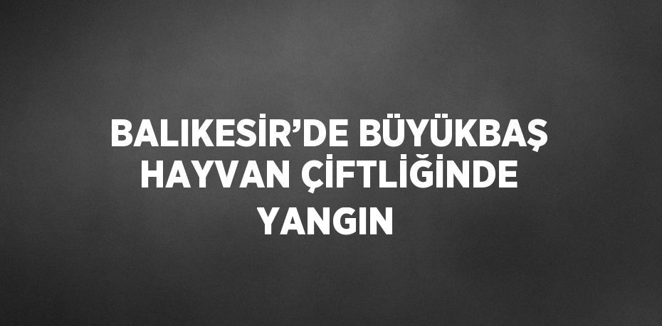 BALIKESİR’DE BÜYÜKBAŞ HAYVAN ÇİFTLİĞİNDE YANGIN