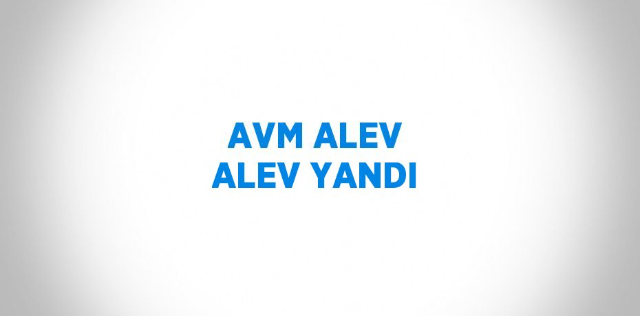 AVM ALEV ALEV YANDI