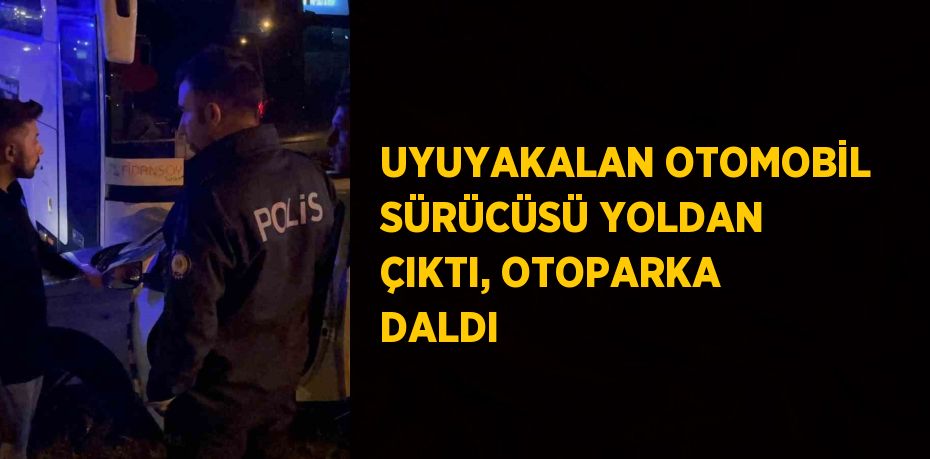 UYUYAKALAN OTOMOBİL SÜRÜCÜSÜ YOLDAN ÇIKTI, OTOPARKA DALDI