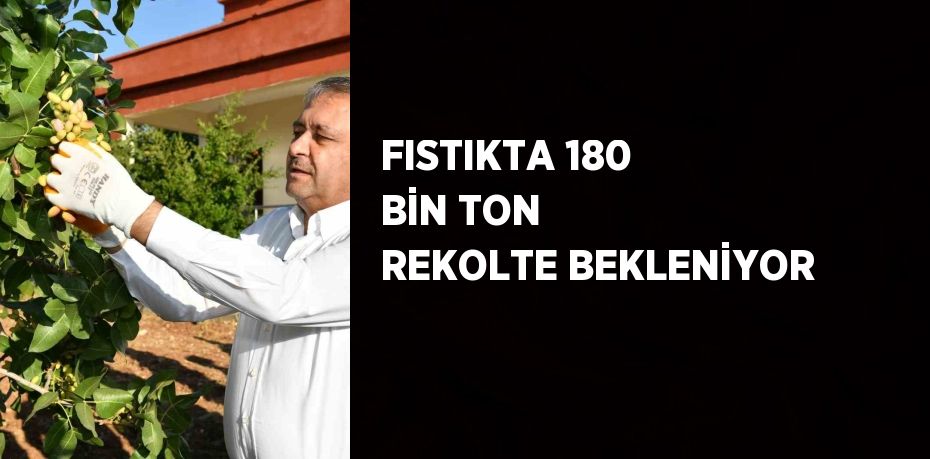 FISTIKTA 180 BİN TON REKOLTE BEKLENİYOR