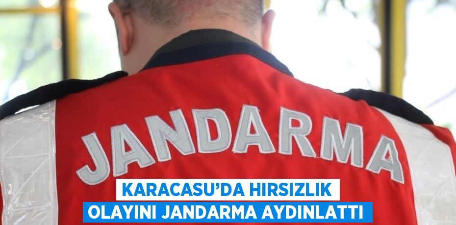 KARACASU’DA HIRSIZLIK OLAYINI JANDARMA AYDINLATTI