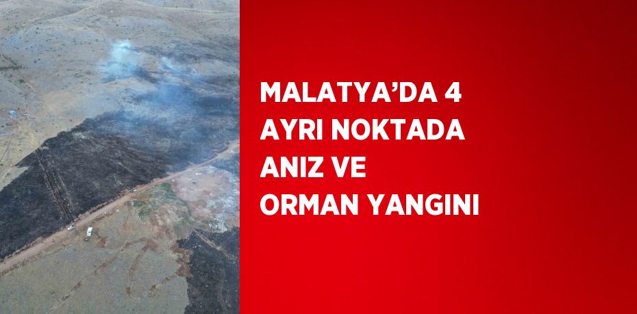 MALATYA’DA 4 AYRI NOKTADA ANIZ VE ORMAN YANGINI