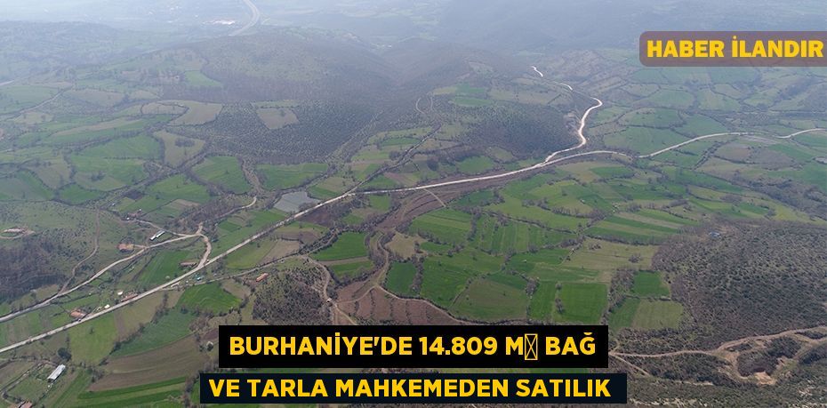 Burhaniye'de 14.809 m² bağ ve tarla mahkemeden satılık