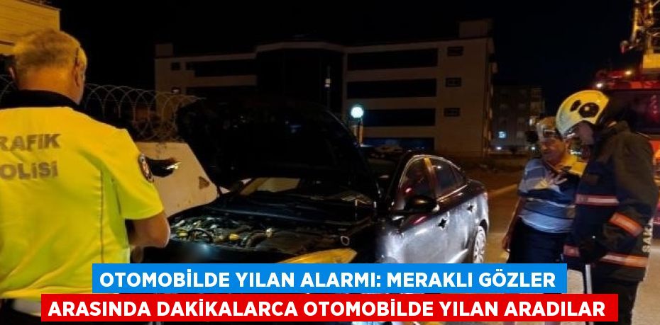 OTOMOBİLDE YILAN ALARMI: MERAKLI GÖZLER ARASINDA DAKİKALARCA OTOMOBİLDE YILAN ARADILAR