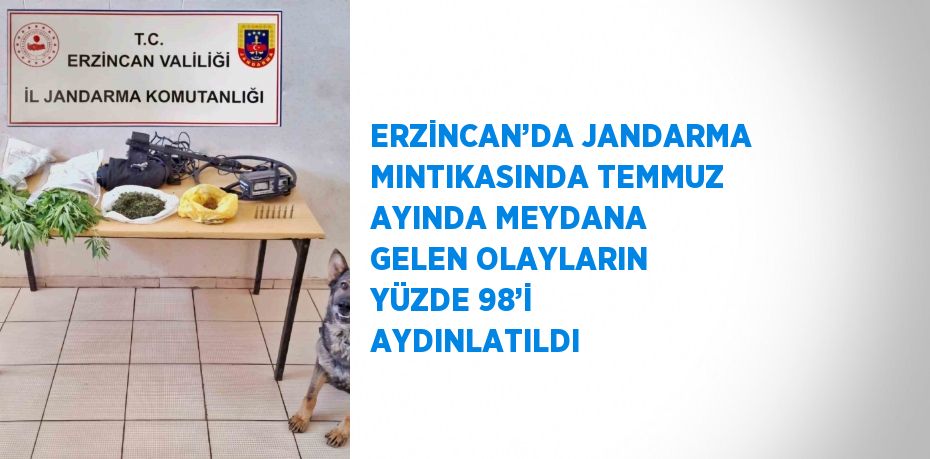 ERZİNCAN’DA JANDARMA MINTIKASINDA TEMMUZ AYINDA MEYDANA GELEN OLAYLARIN YÜZDE 98’İ AYDINLATILDI