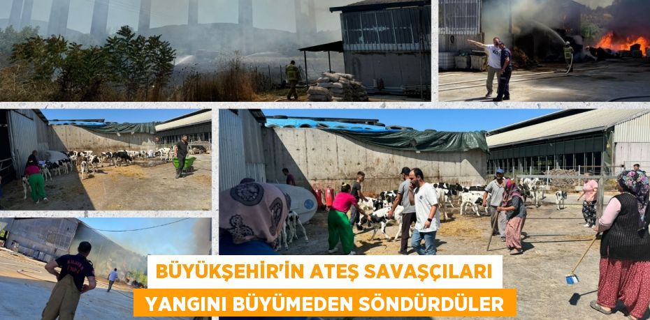 BÜYÜKŞEHİR’İN ATEŞ SAVAŞÇILARI  YANGINI BÜYÜMEDEN SÖNDÜRDÜLER