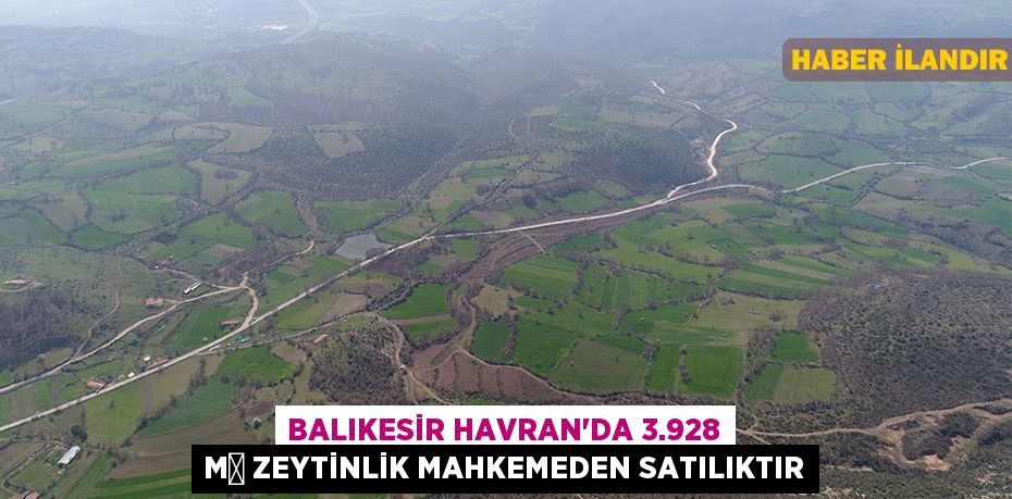 Balıkesir Havran'da 3.928 m² zeytinlik mahkemeden satılıktır