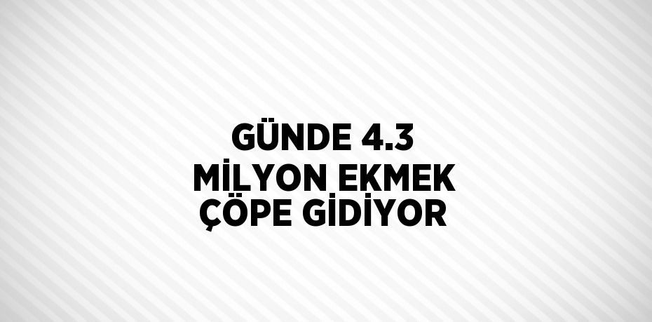 GÜNDE 4.3 MİLYON EKMEK ÇÖPE GİDİYOR