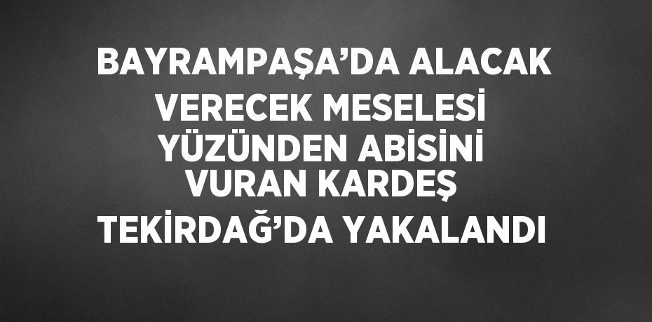 BAYRAMPAŞA’DA ALACAK VERECEK MESELESİ YÜZÜNDEN ABİSİNİ VURAN KARDEŞ TEKİRDAĞ’DA YAKALANDI