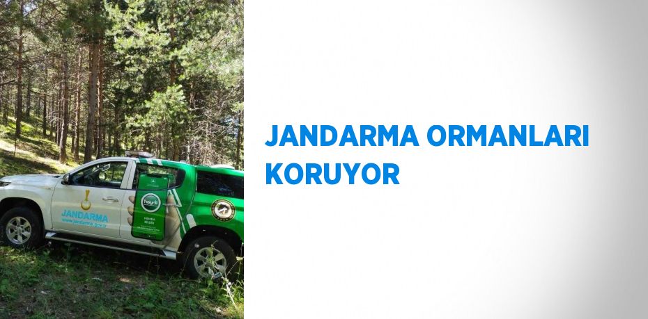 JANDARMA ORMANLARI KORUYOR