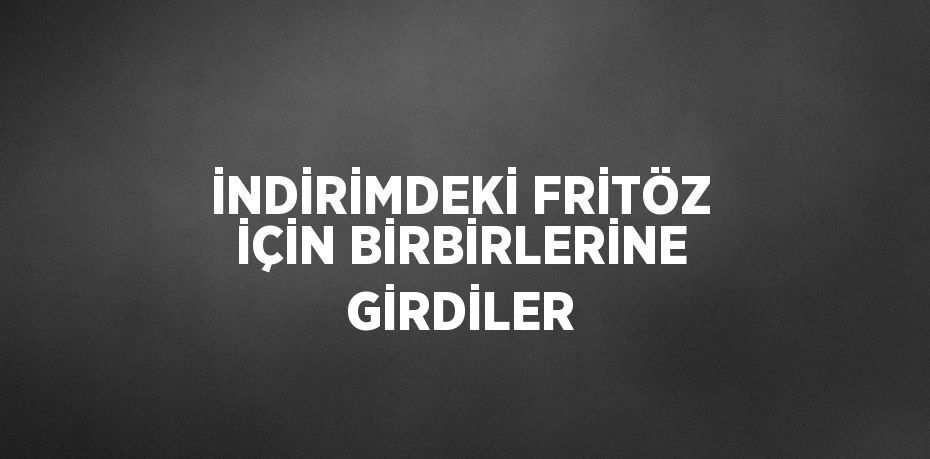 İNDİRİMDEKİ FRİTÖZ İÇİN BİRBİRLERİNE GİRDİLER