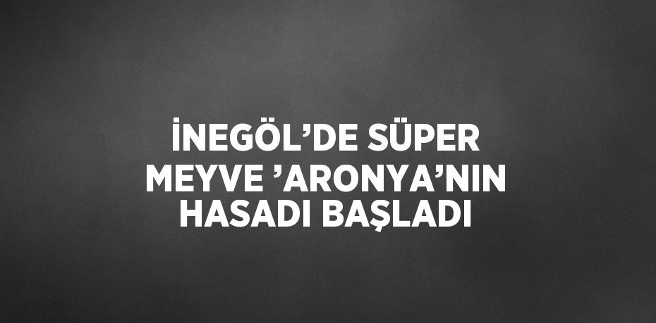 İNEGÖL’DE SÜPER MEYVE ’ARONYA’NIN HASADI BAŞLADI