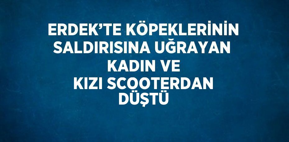 ERDEK’TE KÖPEKLERİNİN SALDIRISINA UĞRAYAN KADIN VE KIZI SCOOTERDAN DÜŞTÜ