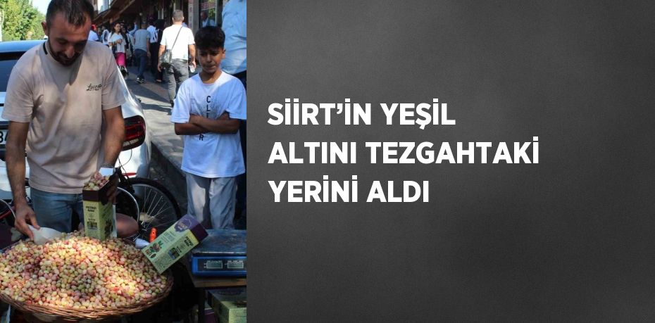 SİİRT’İN YEŞİL ALTINI TEZGAHTAKİ YERİNİ ALDI