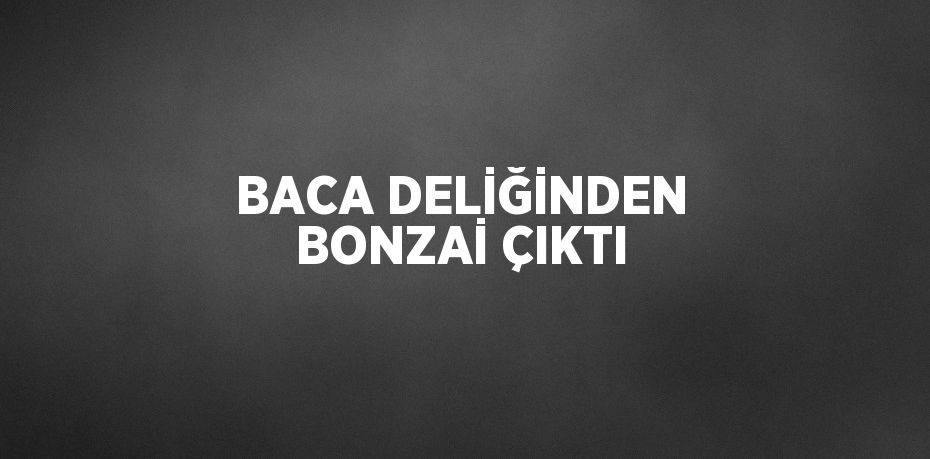 BACA DELİĞİNDEN BONZAİ ÇIKTI