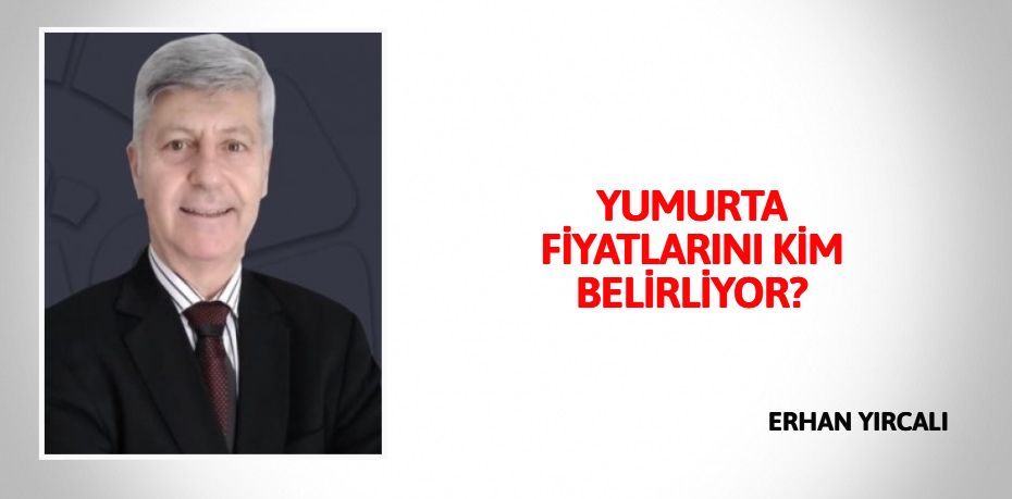 YUMURTA FİYATLARINI KİM BELİRLİYOR?