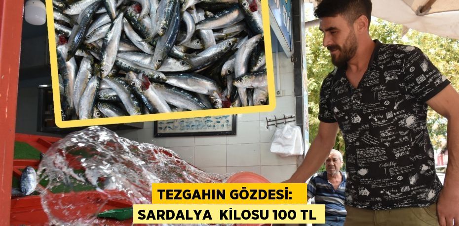 TEZGAHIN GÖZDESİ:   SARDALYA  KİLOSU 100 TL