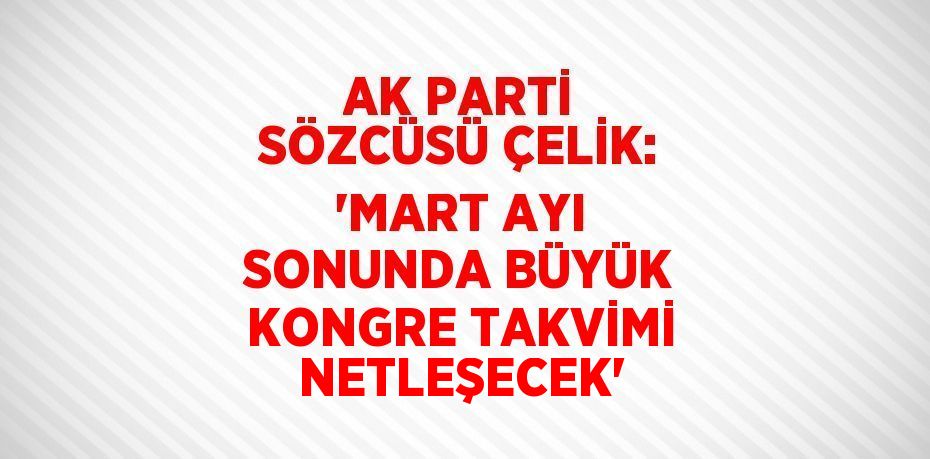 AK PARTİ SÖZCÜSÜ ÇELİK: 'MART AYI SONUNDA BÜYÜK KONGRE TAKVİMİ NETLEŞECEK'