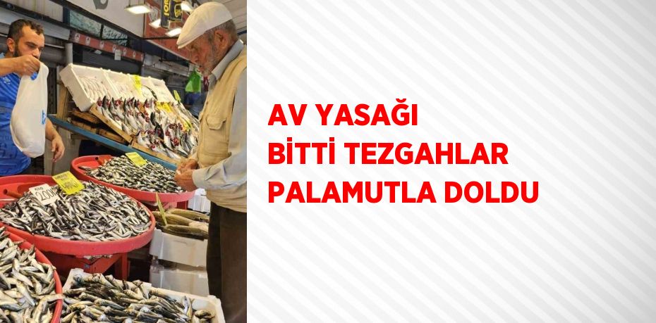 AV YASAĞI BİTTİ TEZGAHLAR PALAMUTLA DOLDU