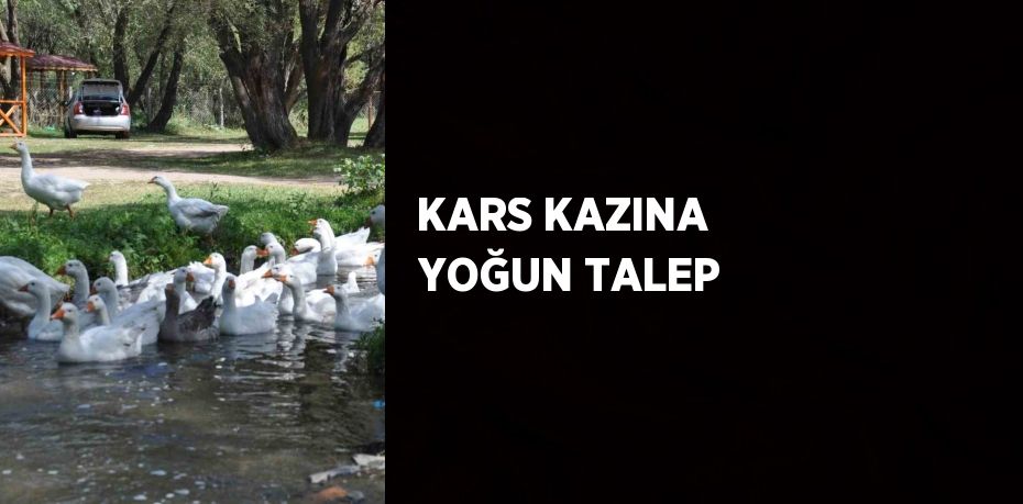 KARS KAZINA YOĞUN TALEP