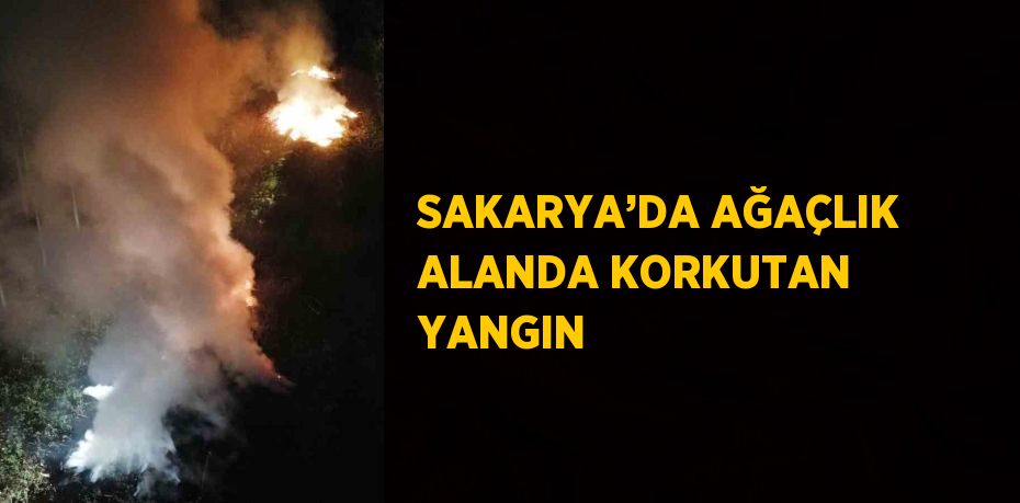 SAKARYA’DA AĞAÇLIK ALANDA KORKUTAN YANGIN