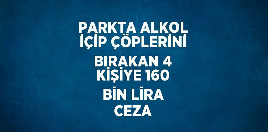 PARKTA ALKOL İÇİP ÇÖPLERİNİ BIRAKAN 4 KİŞİYE 160 BİN LİRA CEZA