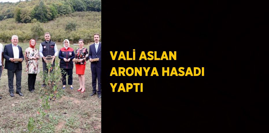 VALİ ASLAN ARONYA HASADI YAPTI