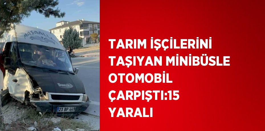 TARIM İŞÇİLERİNİ TAŞIYAN MİNİBÜSLE OTOMOBİL ÇARPIŞTI:15 YARALI