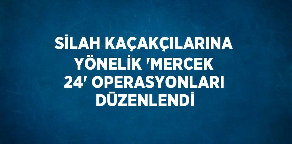 SİLAH KAÇAKÇILARINA YÖNELİK 'MERCEK 24' OPERASYONLARI DÜZENLENDİ