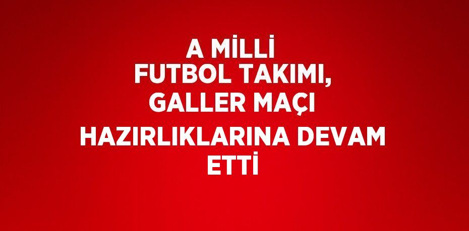 A MİLLİ FUTBOL TAKIMI, GALLER MAÇI HAZIRLIKLARINA DEVAM ETTİ