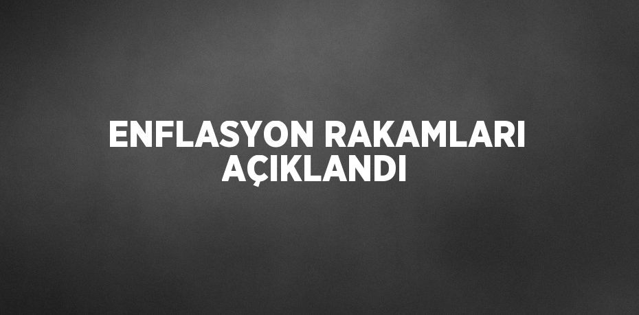 ENFLASYON RAKAMLARI AÇIKLANDI