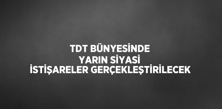 TDT BÜNYESİNDE YARIN SİYASİ İSTİŞARELER GERÇEKLEŞTİRİLECEK