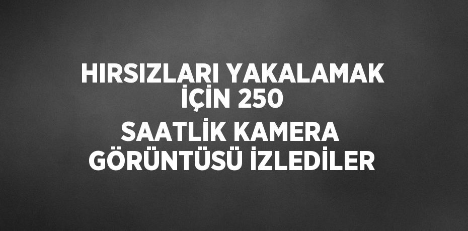 HIRSIZLARI YAKALAMAK İÇİN 250 SAATLİK KAMERA GÖRÜNTÜSÜ İZLEDİLER