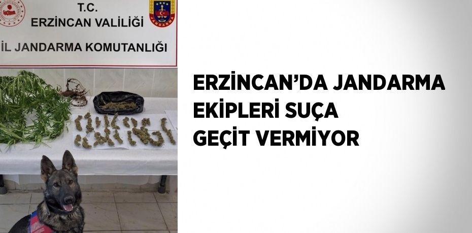 ERZİNCAN’DA JANDARMA EKİPLERİ SUÇA GEÇİT VERMİYOR