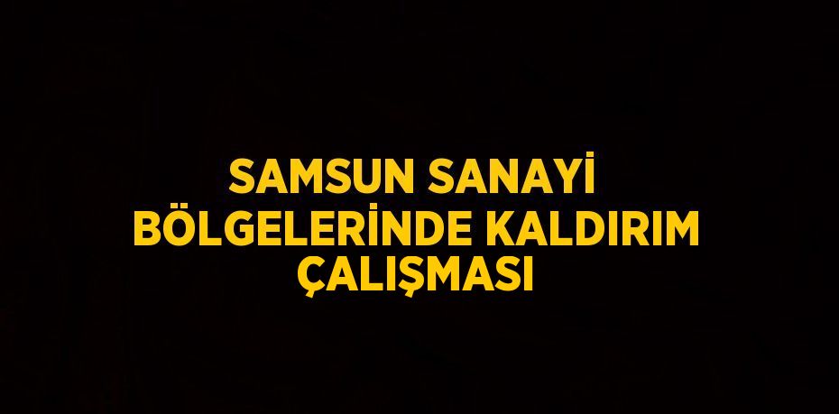 SAMSUN SANAYİ BÖLGELERİNDE KALDIRIM ÇALIŞMASI