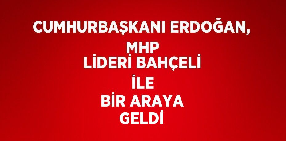 CUMHURBAŞKANI ERDOĞAN,  MHP LİDERİ BAHÇELİ  İLE BİR ARAYA GELDİ