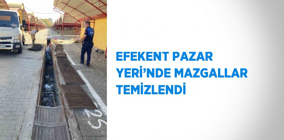 EFEKENT PAZAR YERİ’NDE MAZGALLAR TEMİZLENDİ