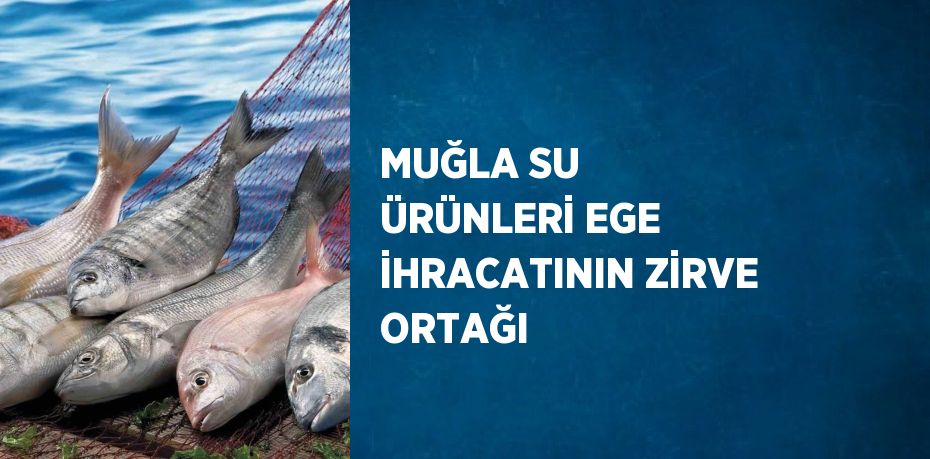 MUĞLA SU ÜRÜNLERİ EGE İHRACATININ ZİRVE ORTAĞI