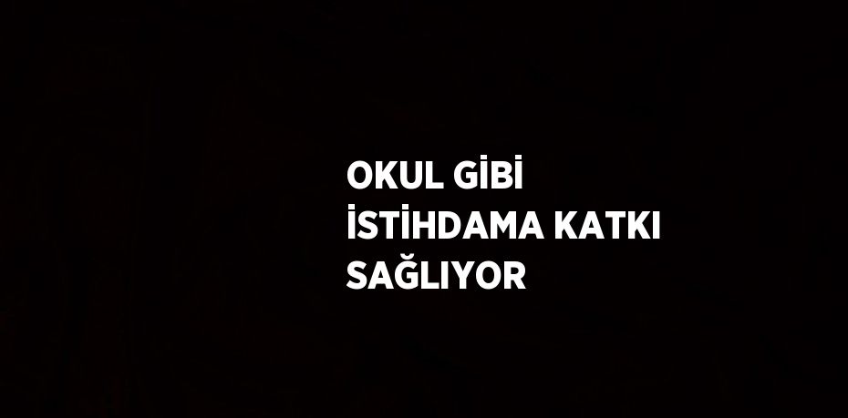 OKUL GİBİ İSTİHDAMA KATKI SAĞLIYOR